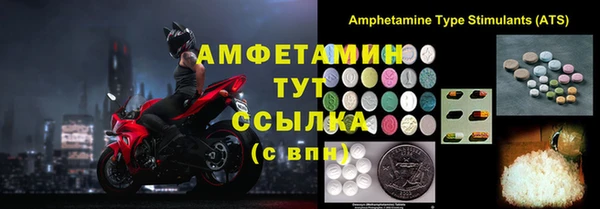 индика Зеленокумск