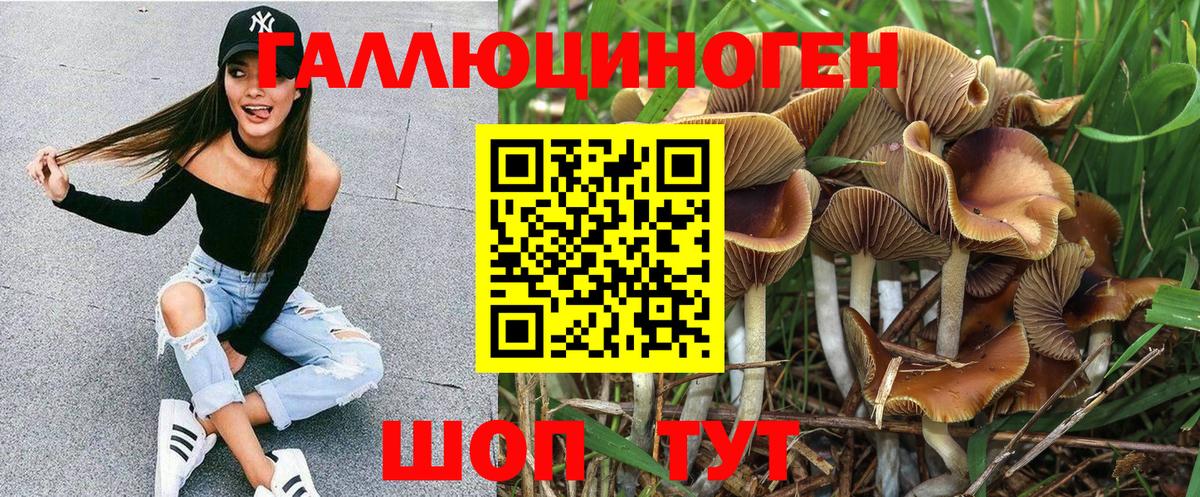 Галлюциногенные грибы Psilocybine cubensis  Вход с VPN  Партизанск  Галлюциногенные грибы Magic Shrooms 